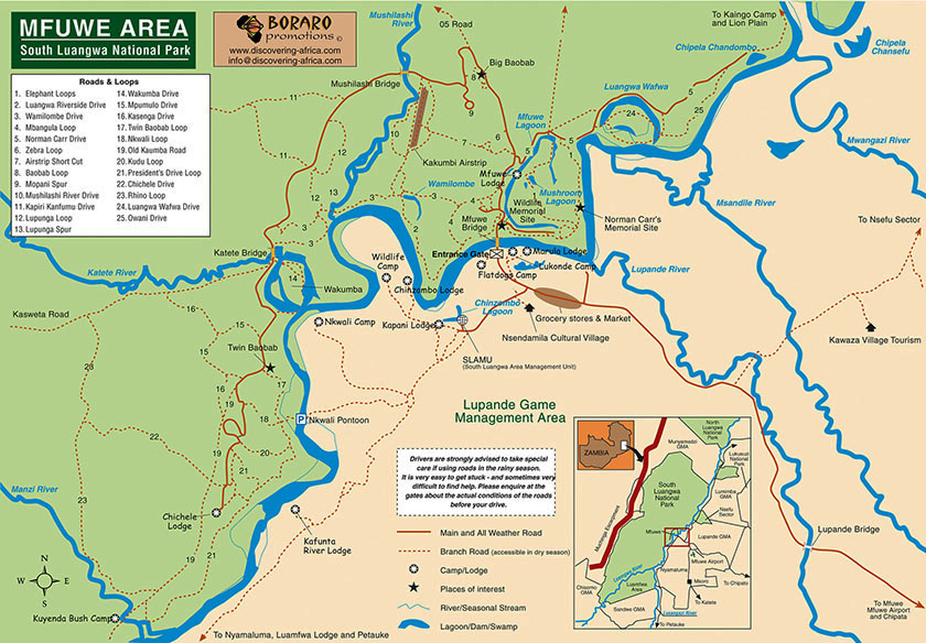 South Luangwa National Park